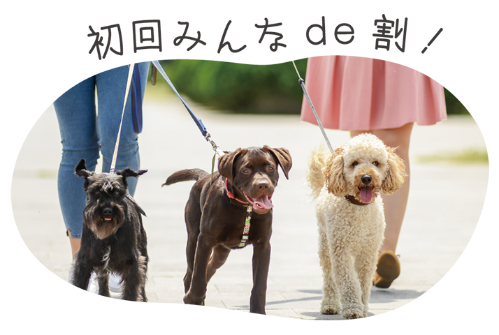 初回みんなde割！