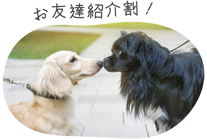 お友達紹介割！