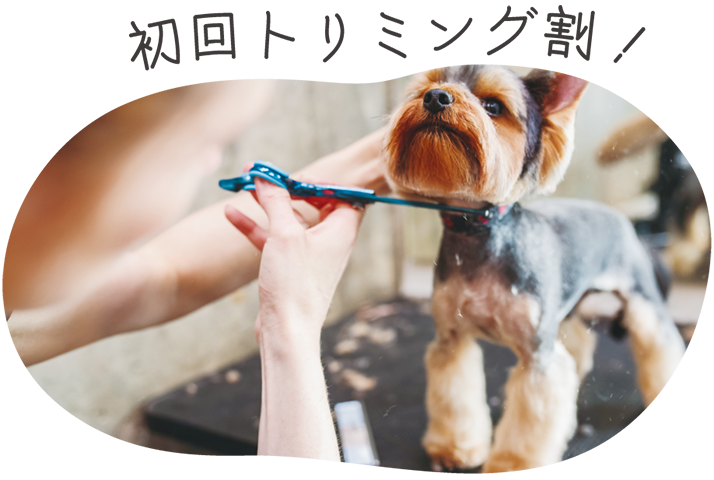 初回トリミング割！